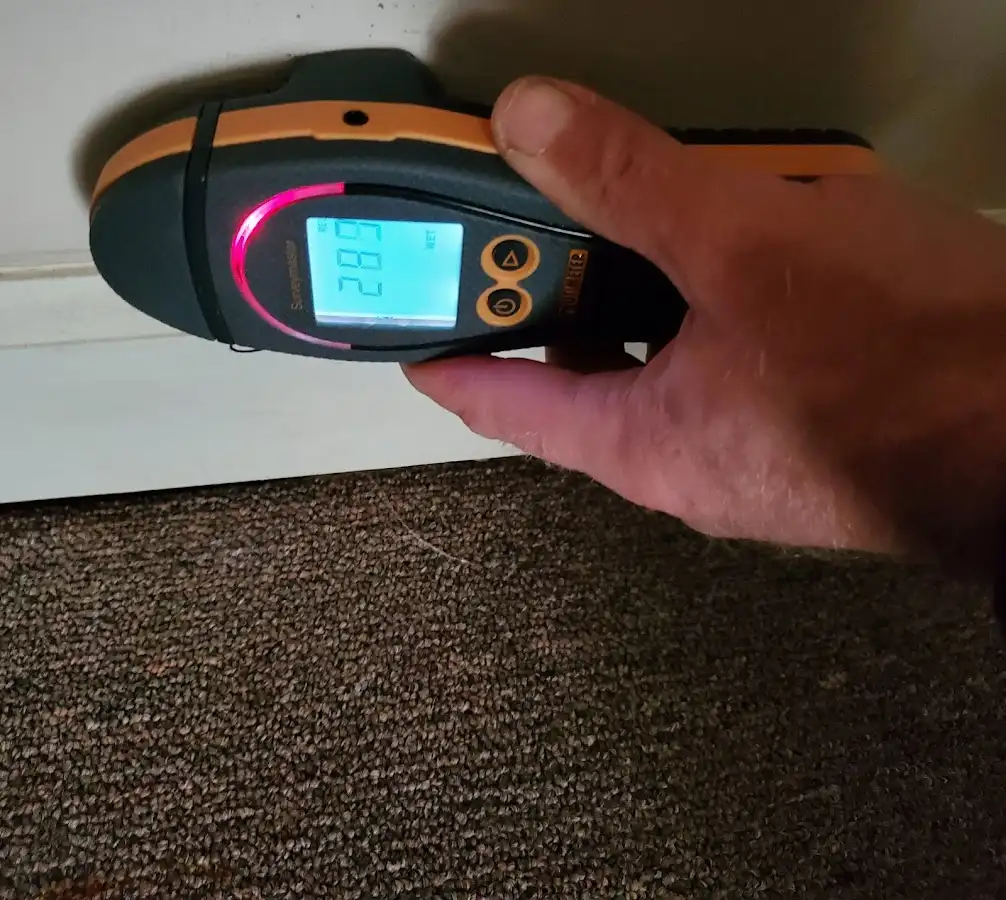 Moisture detection at baseboard during Mold Inspection & Testing in Dublin
